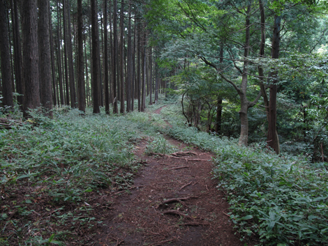 20171005hike (277)